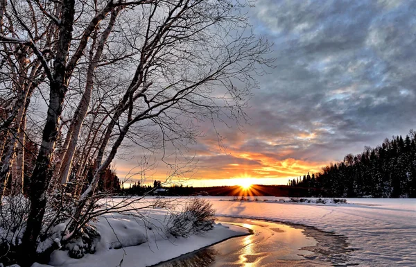 Immagine per Buongiorno e Buon Venerdì 16 Gennaio 2026: Immagini, Frasi e Auguri da Condividere