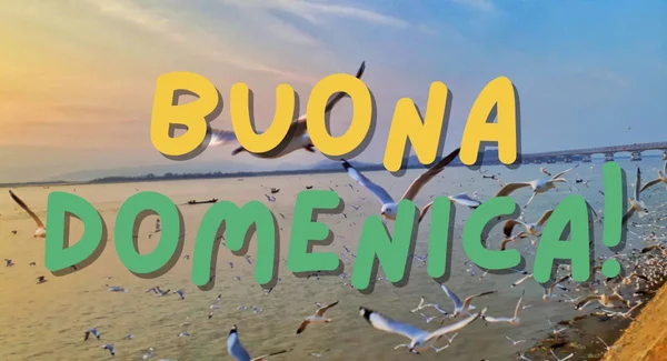 Immagine per Buongiorno Domenica 31 Agosto 2025: Immagini e Frasi Social