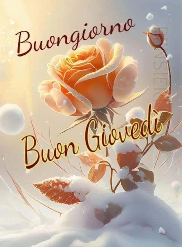 Immagini Buongiorno Giovedì 14 agosto 2025 - Proverbio Cilentano #2