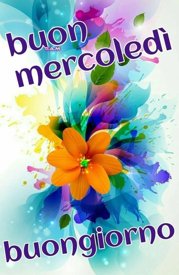 Immagini Buongiorno Mercoledì 20 agosto 2025 - Proverbio Cilentano #1