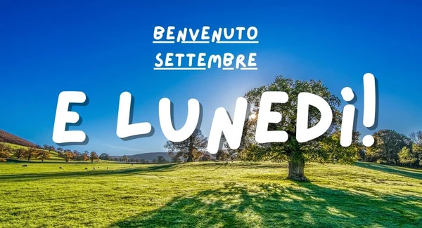 Immagine per Immagini buongiorno lunedì 1 settembre 2025: le più belle da inviare