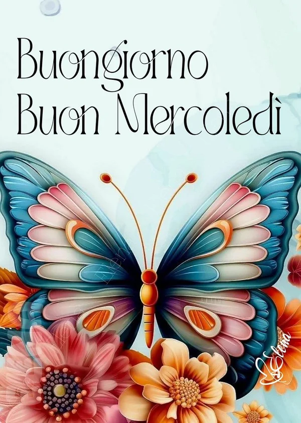 Immagini Buongiorno Mercoledì 20 agosto 2025 - Proverbio Cilentano #2