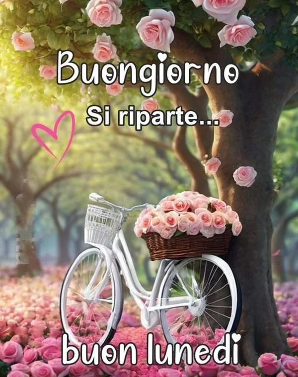 Immagini Buongiorno Lunedì 25 agosto 2025 - Proverbio Cilentano #2