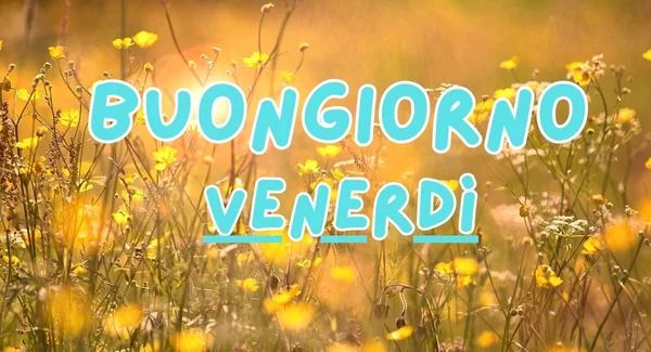 Immagine per Immagini Buongiorno Venerdì 5 Settembre 2025: Frasi Social