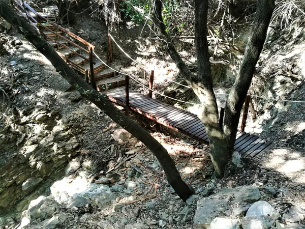 Fiori selvatici lungo il percorso