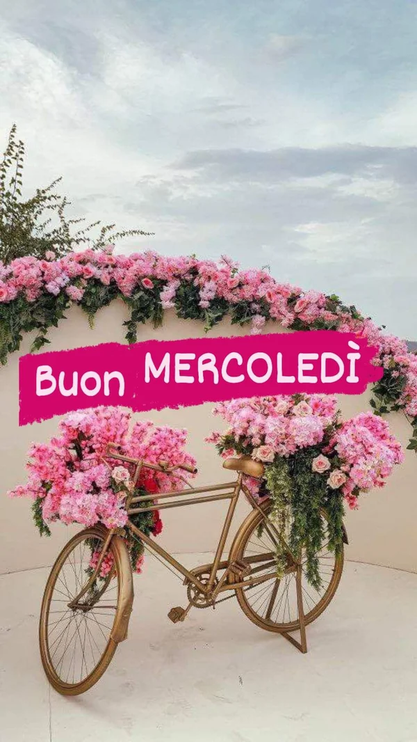 Immagini Buongiorno Mercoledì 20 agosto 2025 - Proverbio Cilentano #1