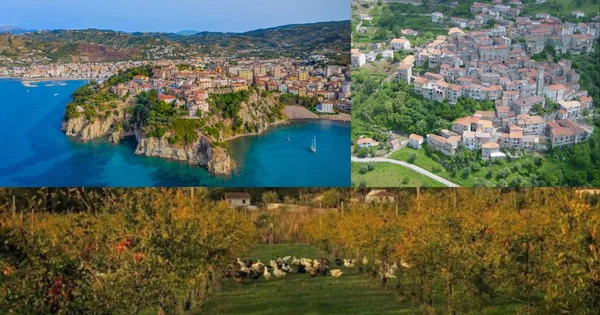 Immagine per l'articolo Spighe Verdi 2025: ecco i comuni del Cilento premiati per un turismo davvero sostenibile