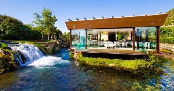 Immagine per Cilento 2025: La Guida Completa ai Ristoranti Stellati tra Mare e Tradizione