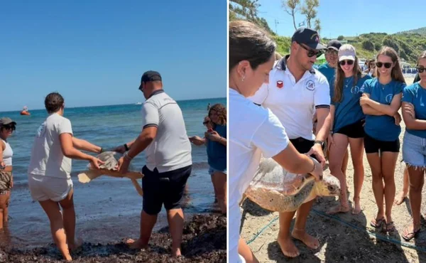 Immagine per l'articolo Caretta Caretta Agropoli: rilascio a Trentova di sette tartarughe