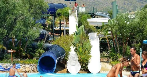 Immagine per Cilento Family 2025: Frescura, Spiagge e Avventure Pet-Friendly