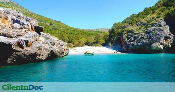 Immagine per Cilento green: guida all’ecoturismo che incanta 