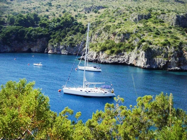 Proverbio del 28 August 2025