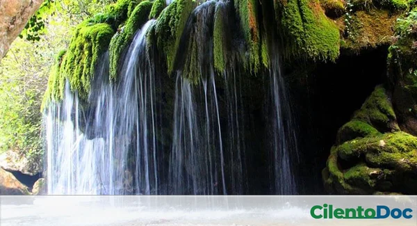 Immagine per Cilento Estate: 7 Luoghi Freschi per Battere il Caldo 2025