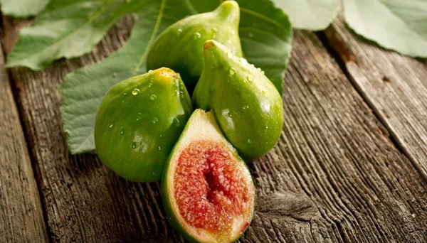 Buongiorno Cilento Mercoledì 20 agosto 2025 - Proverbio in dialetto cilentano