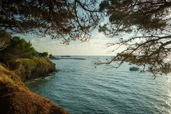 Immagine per Il Sentiero di Punta Licosa: Tra Borgo Medievale e Paradiso Marino nel Cilento
